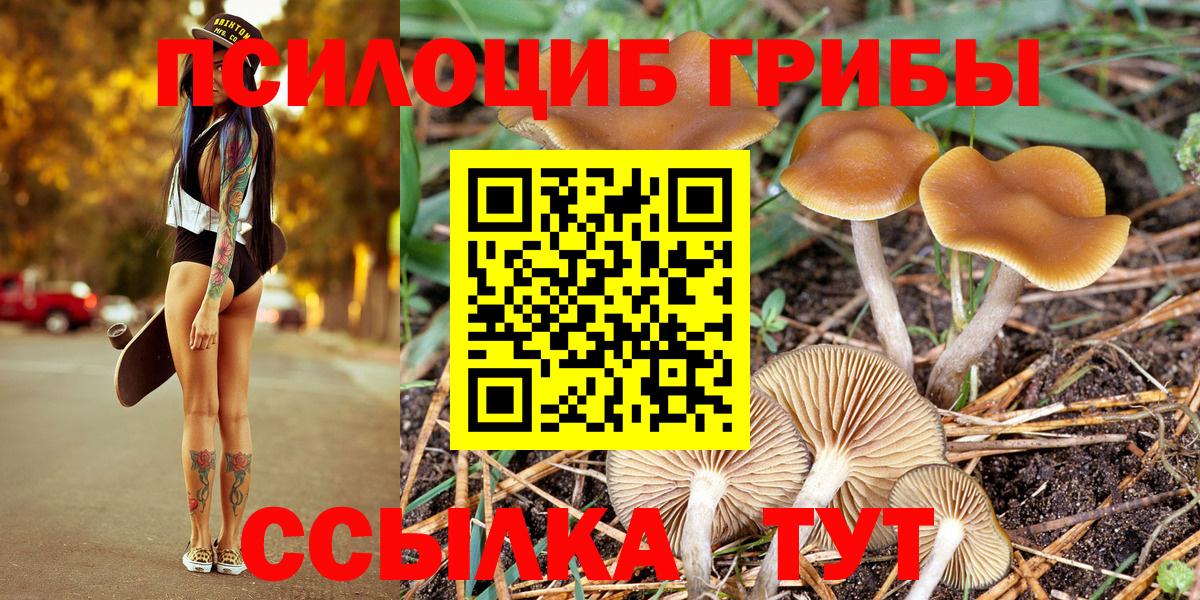 Екатеринбург  Псилоцибиновые грибы Cubensis  Псилоцибиновые грибы мухоморы  Вход с VPN 